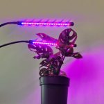 40 LED-es kétkarú növénynevelő lámpa (BB9241) 2