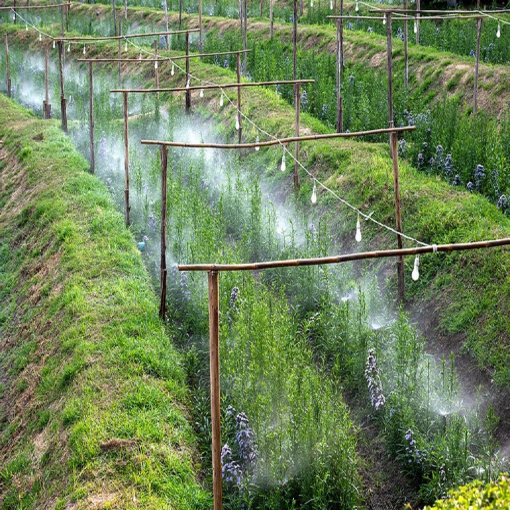Irrigation system in function watering agricultural plants. A fi