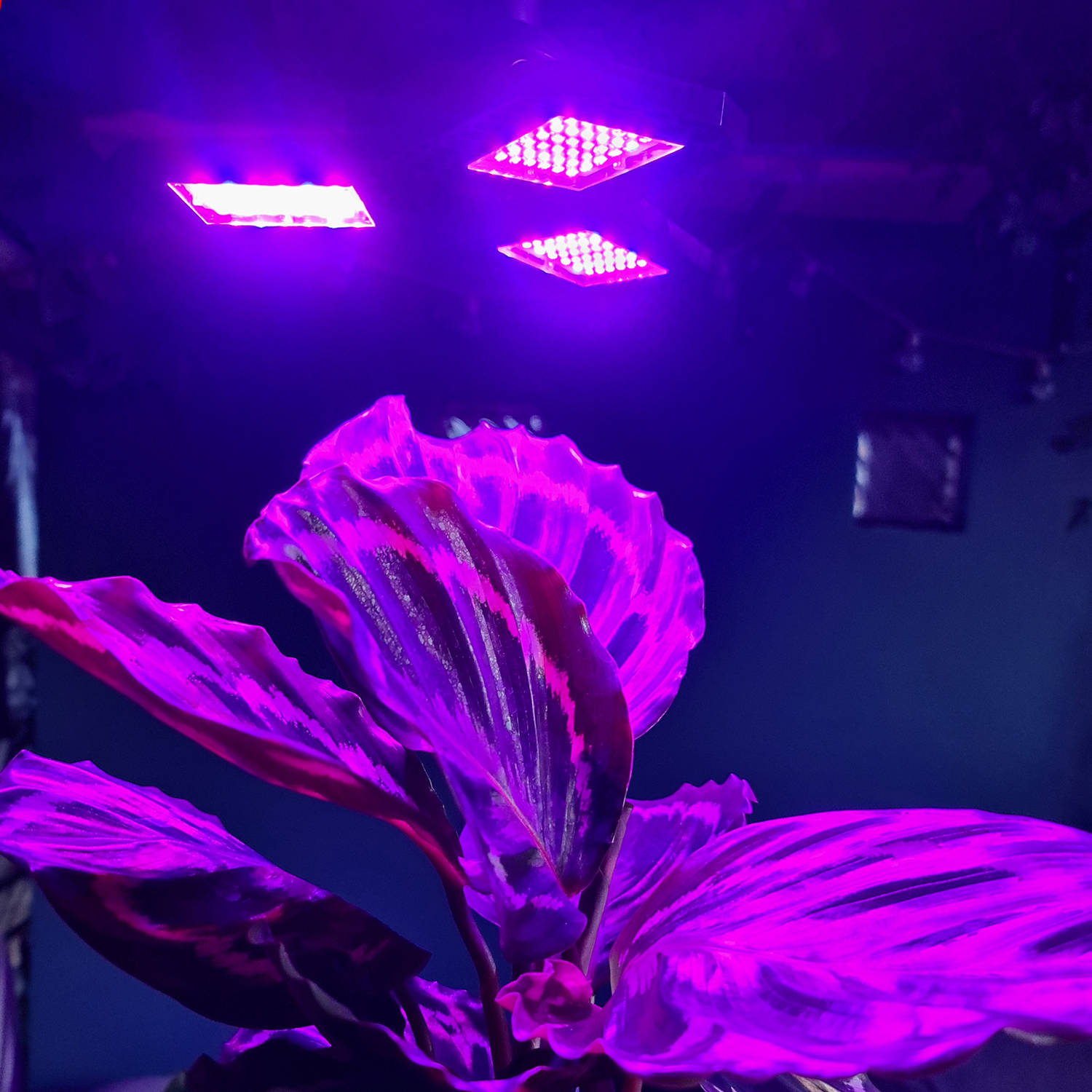 108 LED-es növény nevelő lámpa – állítható dőlésszöggel, 2 világítási móddal (BB-20440) (4)