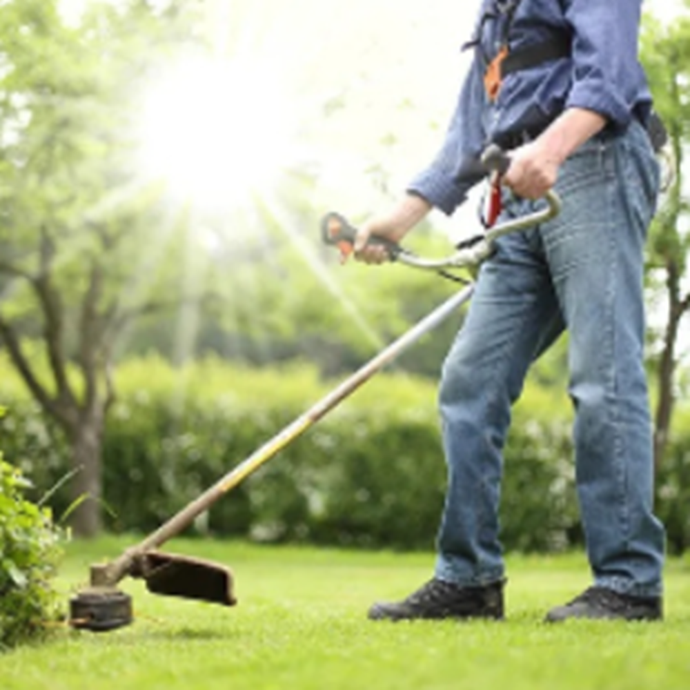 Kimiyo benzinmotoros fűkasza 62 cm³ hengertérfogattal (BBD) 8